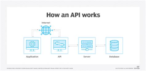 User Statistics: API Users Online